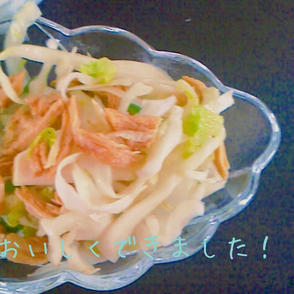 Snapdishの料理写真:Onion.Chikin.Sarada|I am hungry familyさん