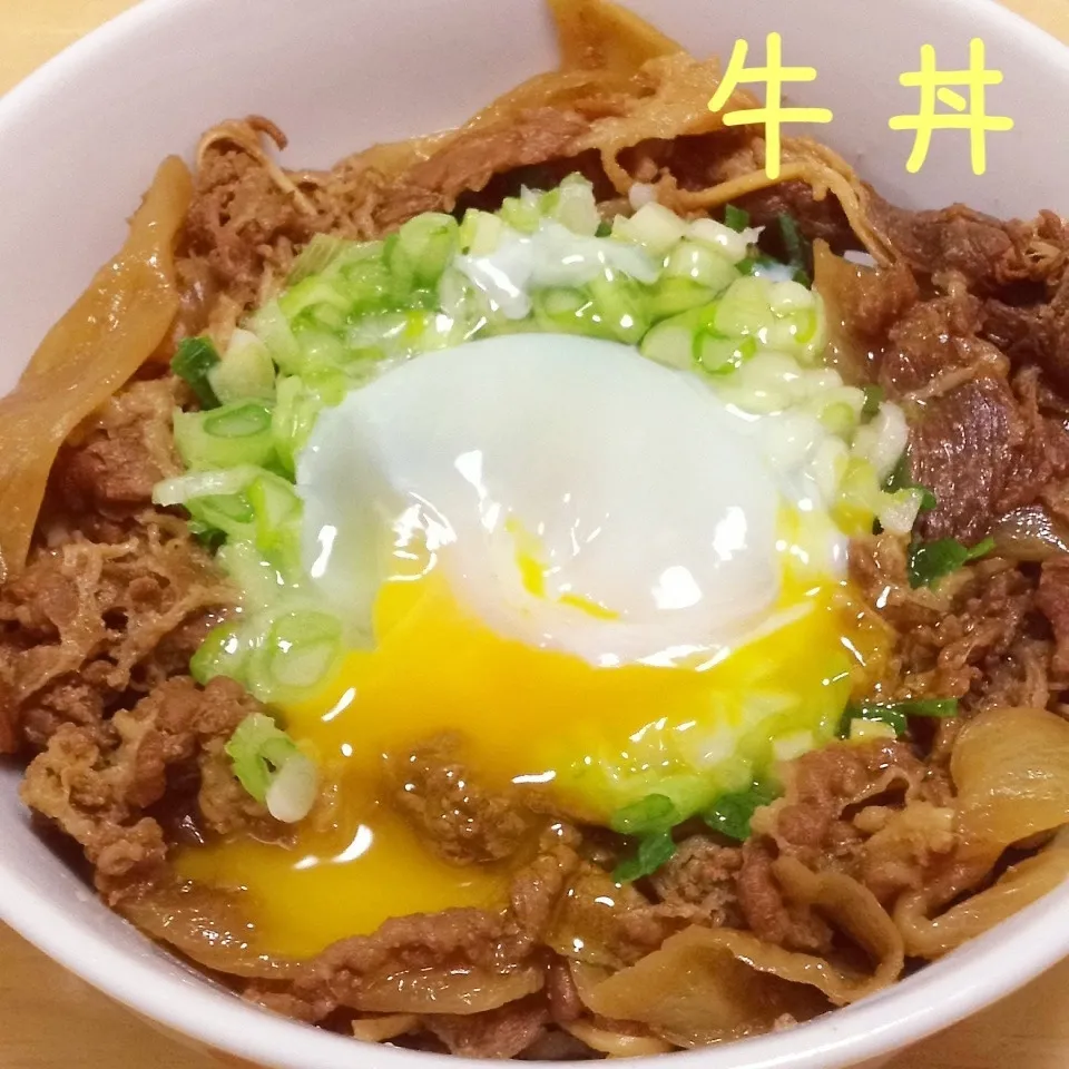 Snapdishの料理写真:牛丼 レトルトで手抜き|く〜ちさん