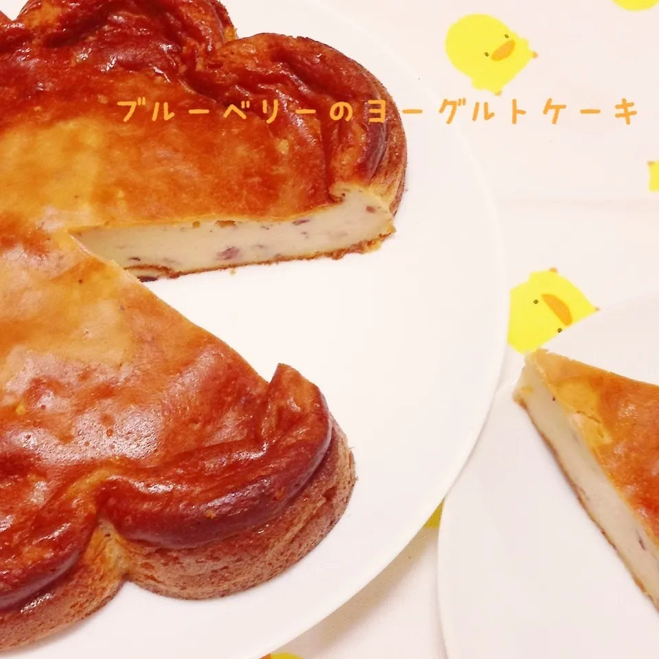 ブルーベリーのヨーグルトケーキ|く〜ちさん