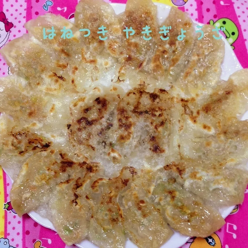 はねつき 焼きぎょうざ|く〜ちさん