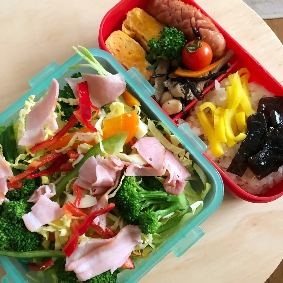 サラダといつものお弁当🍱|ころりんさん