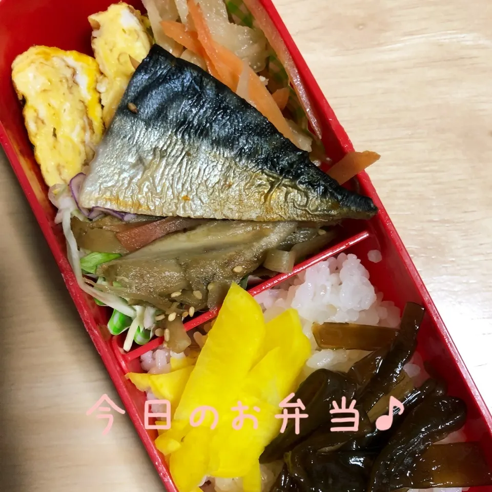 鯖のっけ弁当🍱|ころりんさん