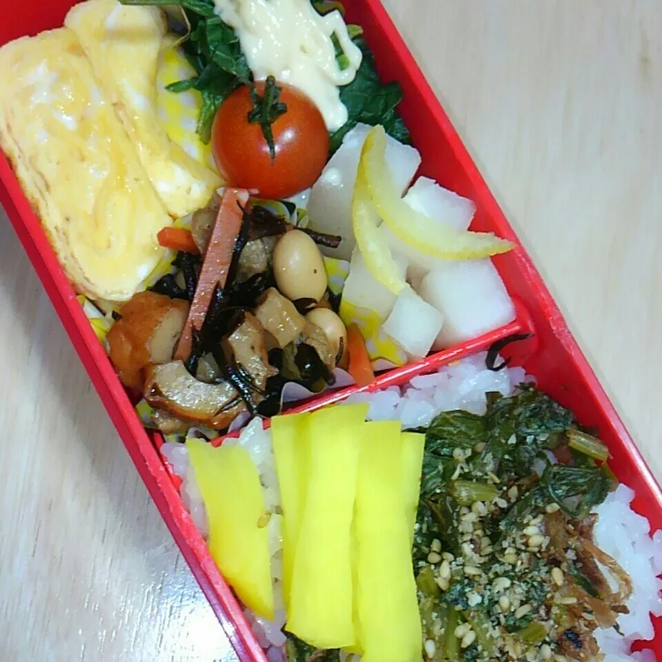 先日のお弁当♪|ころりんさん