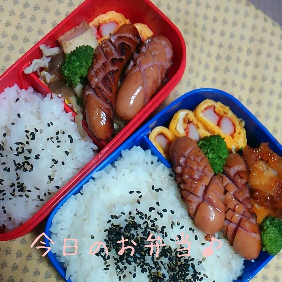 二人分のお弁当♪|ころりんさん