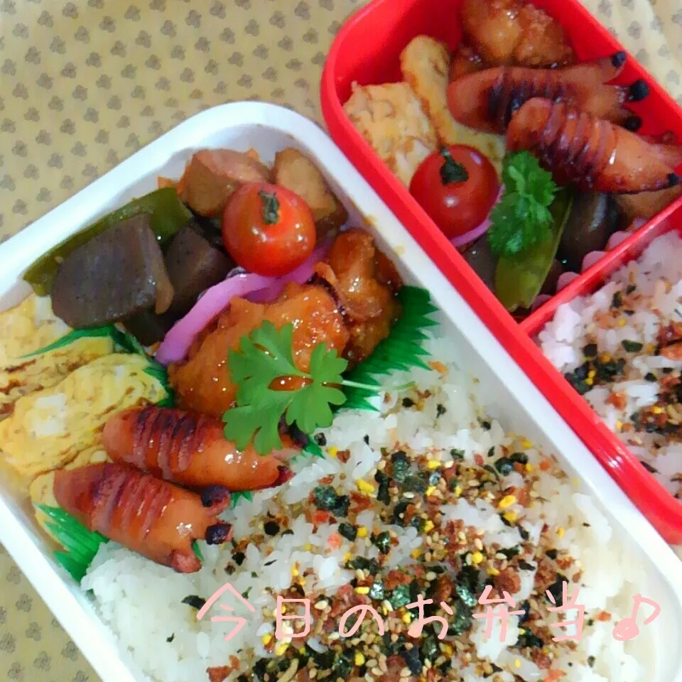 二人分のお弁当♪|ころりんさん