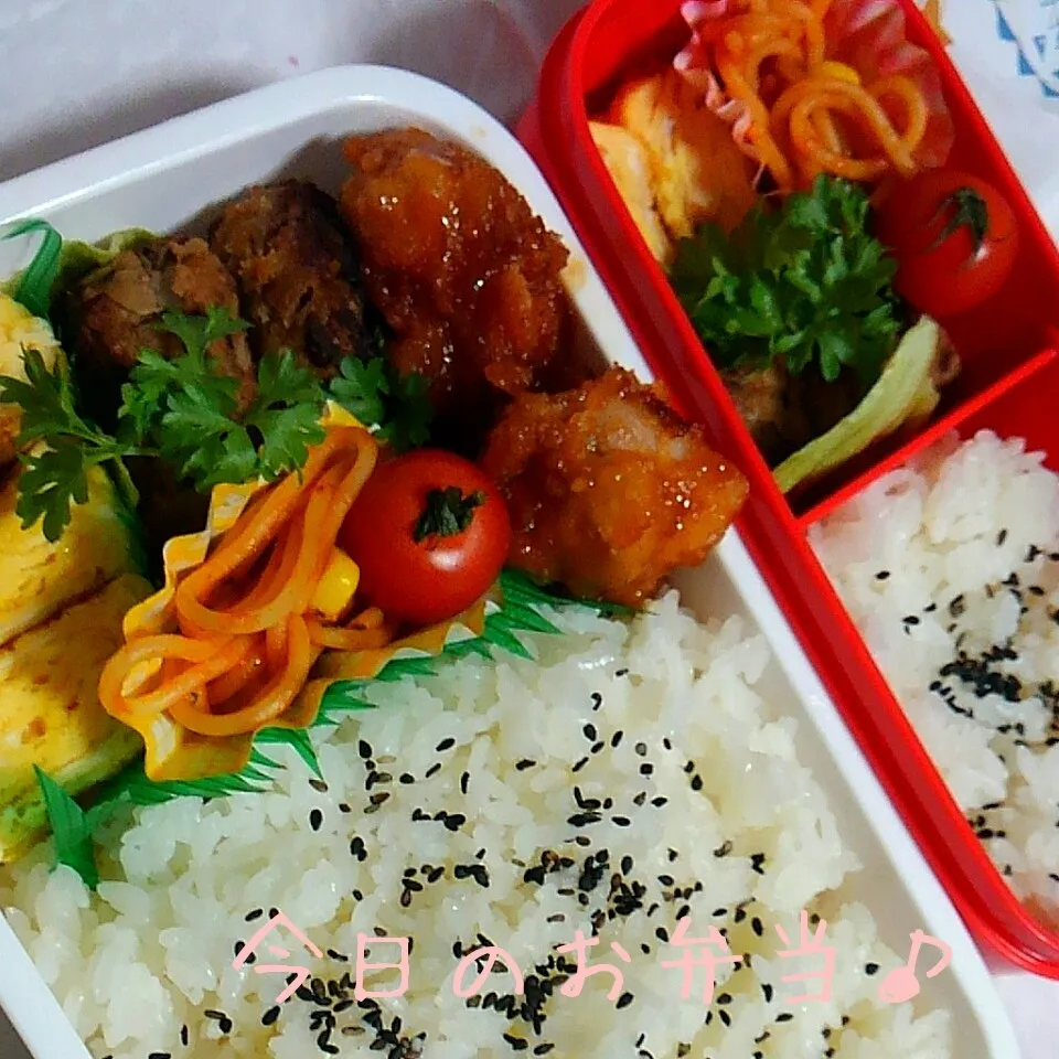 二人分のお弁当♪|ころりんさん