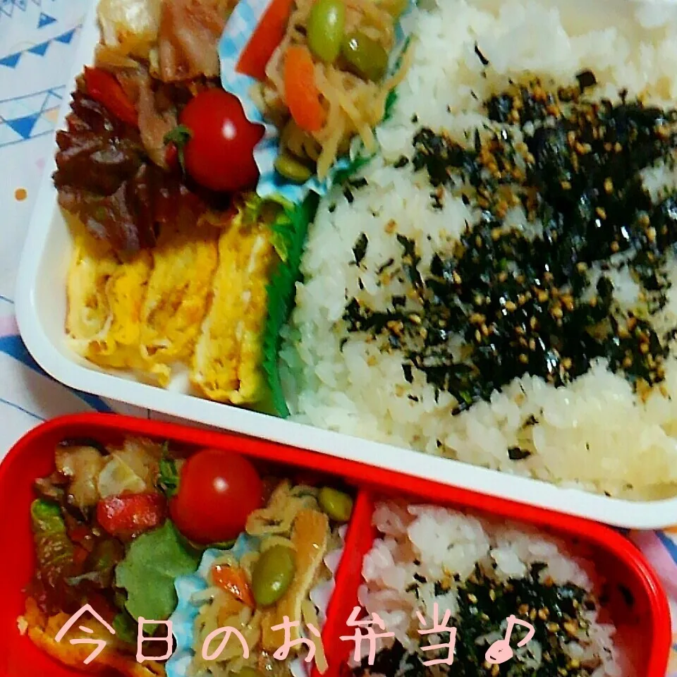 Snapdishの料理写真:二人分のお弁当♪|ころりんさん