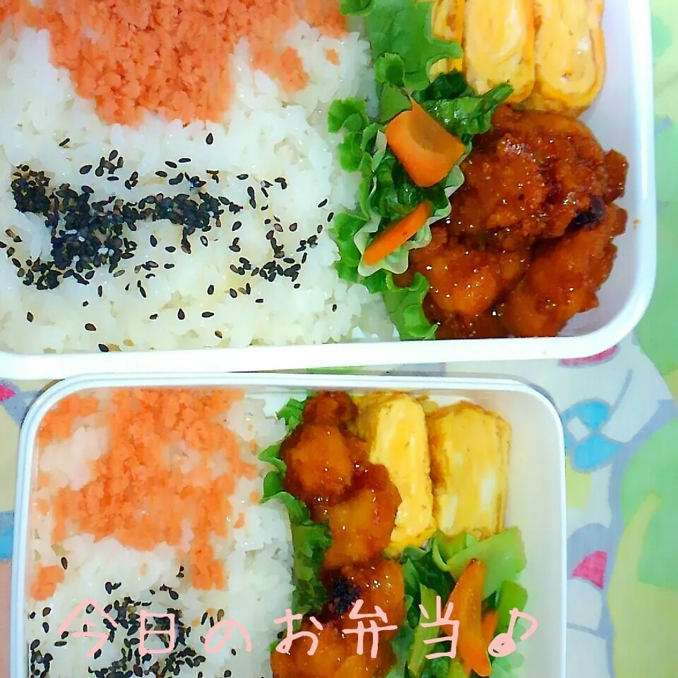 二人分のお弁当♪|ころりんさん