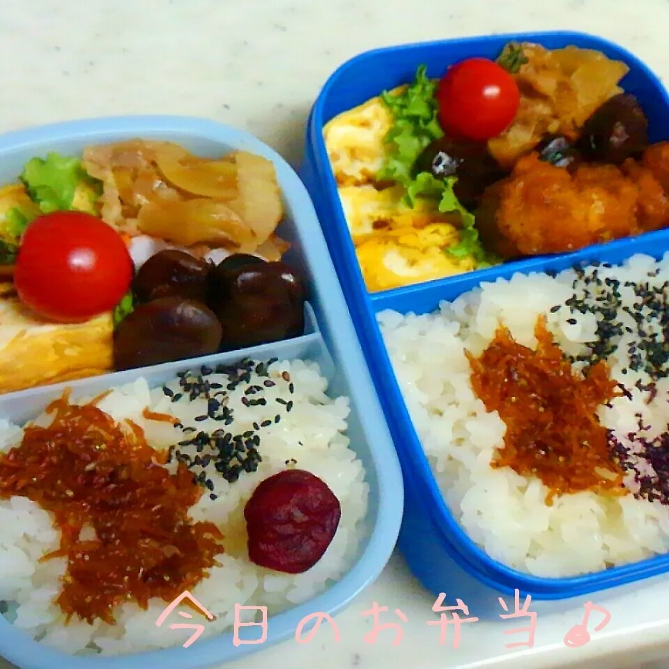 Snapdishの料理写真:二人分のお弁当♪|ころりんさん