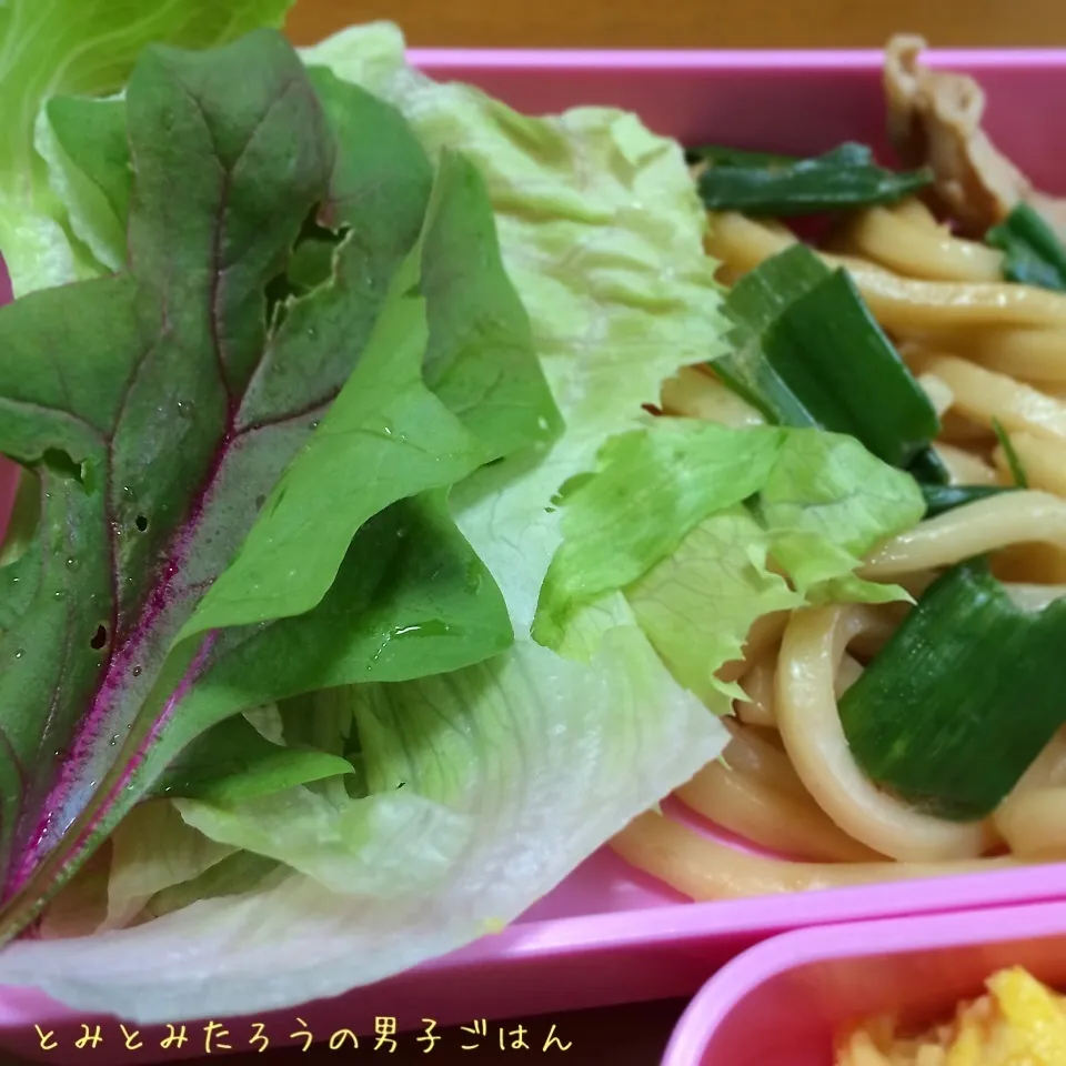 赤軸ほうれん草と玉ねぎの葉っぱの焼うどん弁当〜♪|とみとみたろうの男子ごはん♪さん