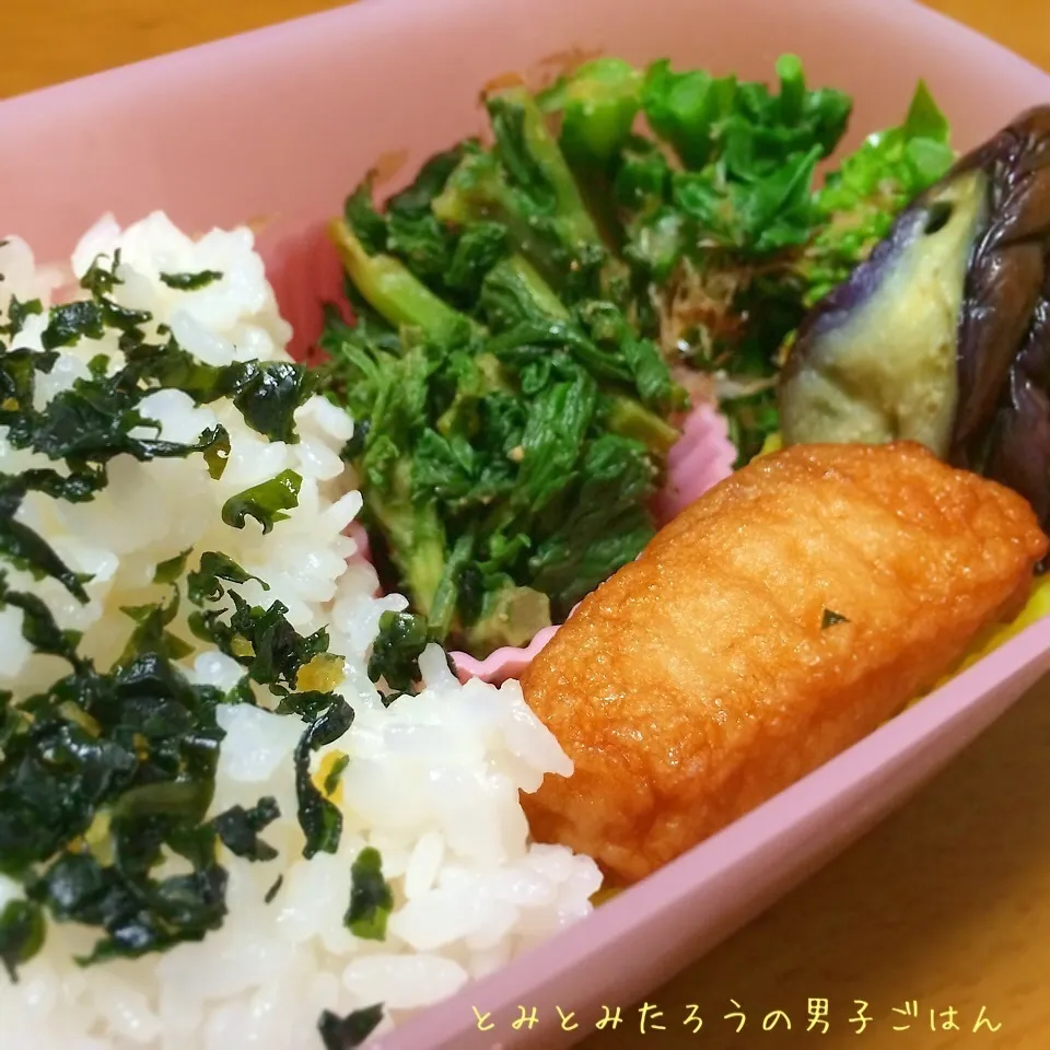 紫色舞ふくたちお浸しと春菊味噌和え弁当〜！！|とみとみたろうの男子ごはん♪さん