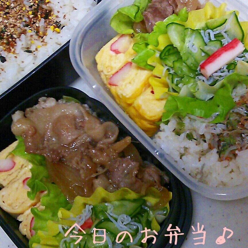 豚のしょうが焼き弁当♪|ころりんさん
