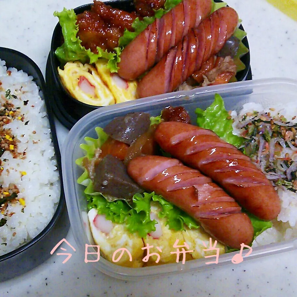 二人分のお弁当♪|ころりんさん