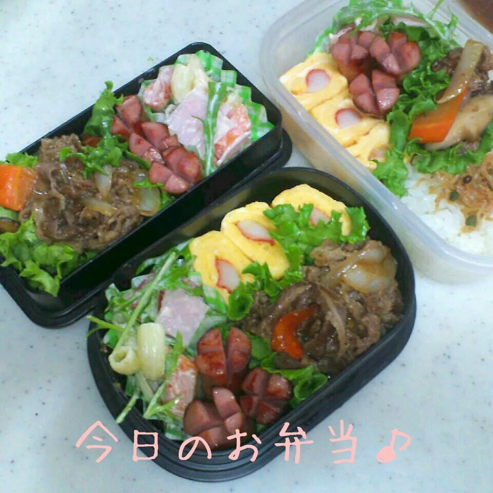 三人分のお弁当♪|ころりんさん