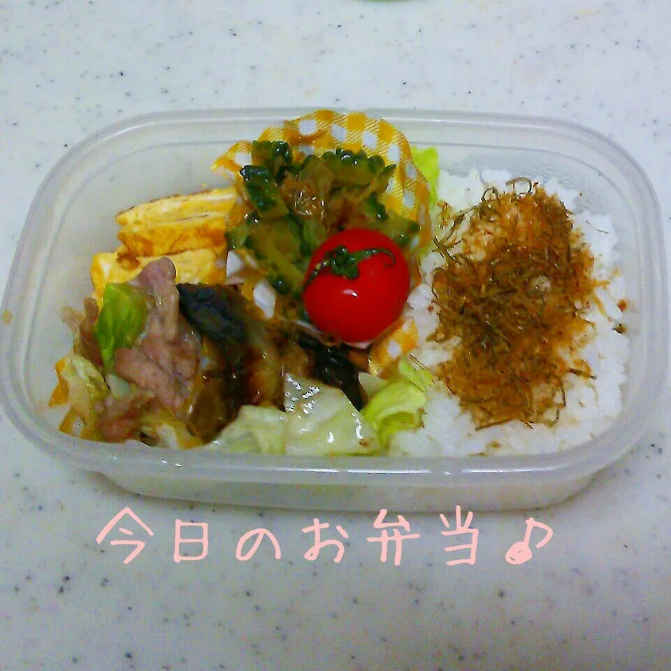 夏のあっさり弁当♪|ころりんさん