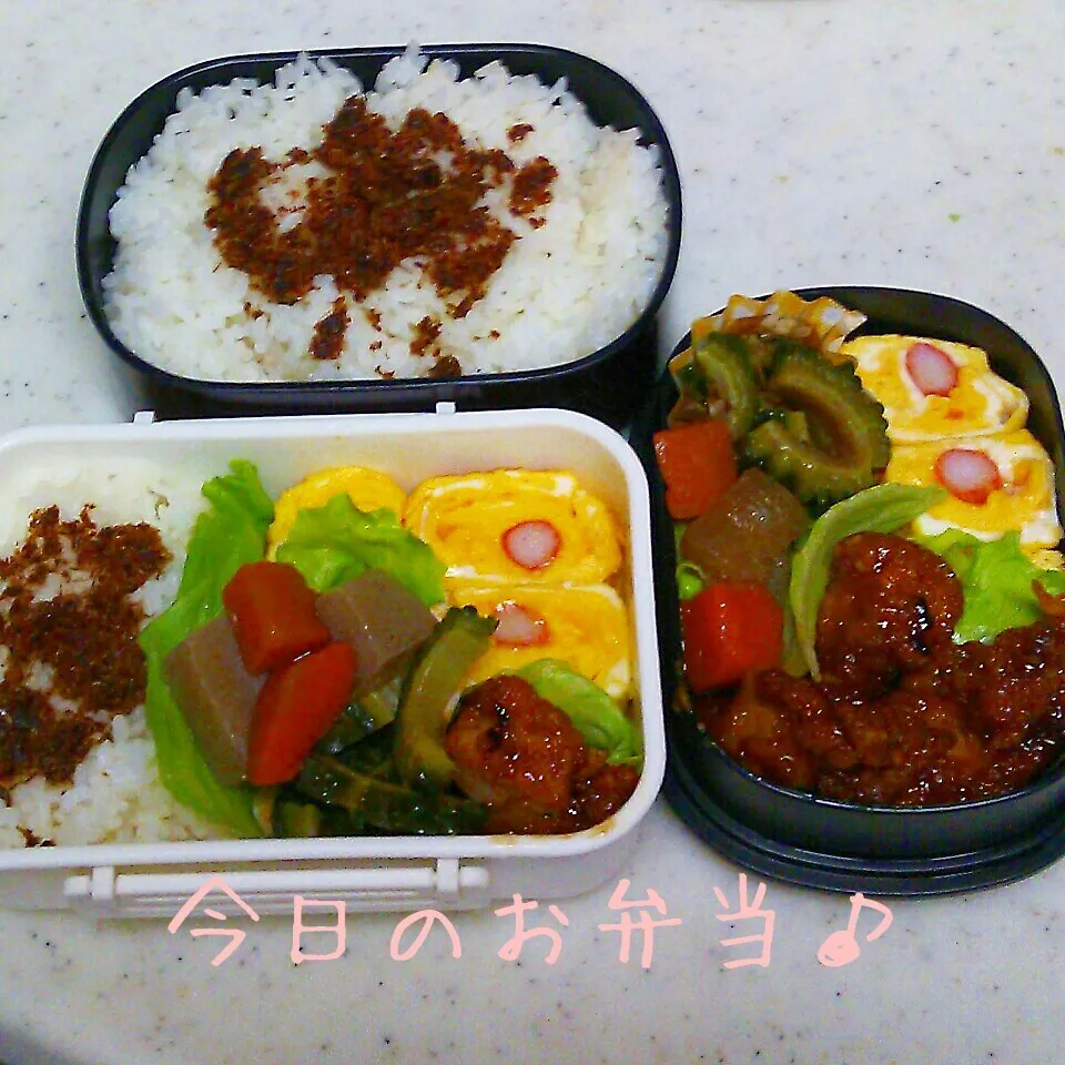 あっさり弁当♪|ころりんさん