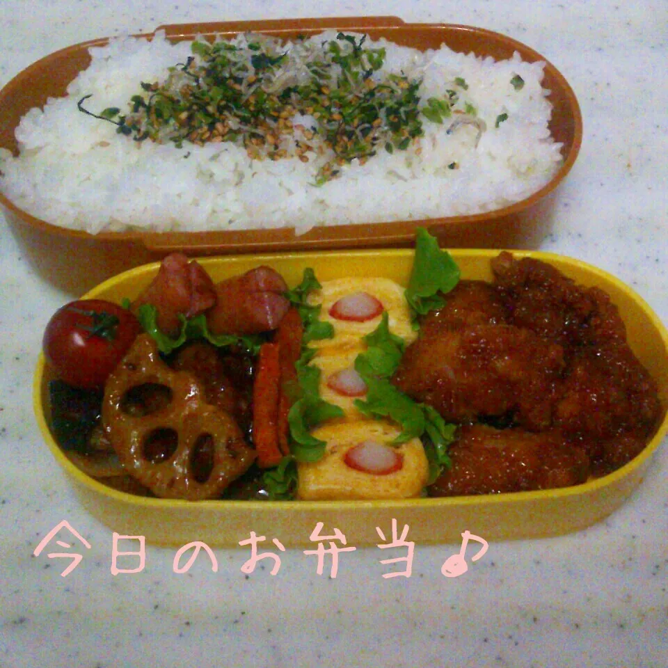 Snapdishの料理写真:ガッツリ弁当♪|ころりんさん