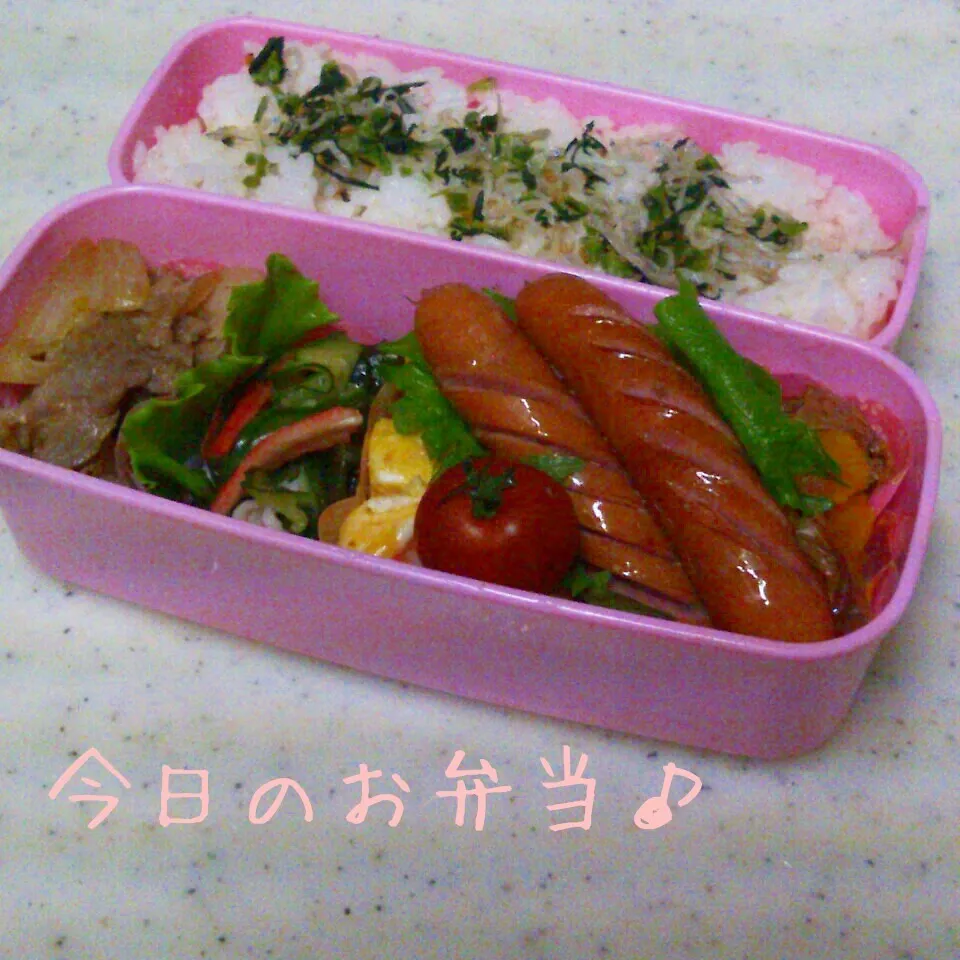 私のお弁当♪|ころりんさん