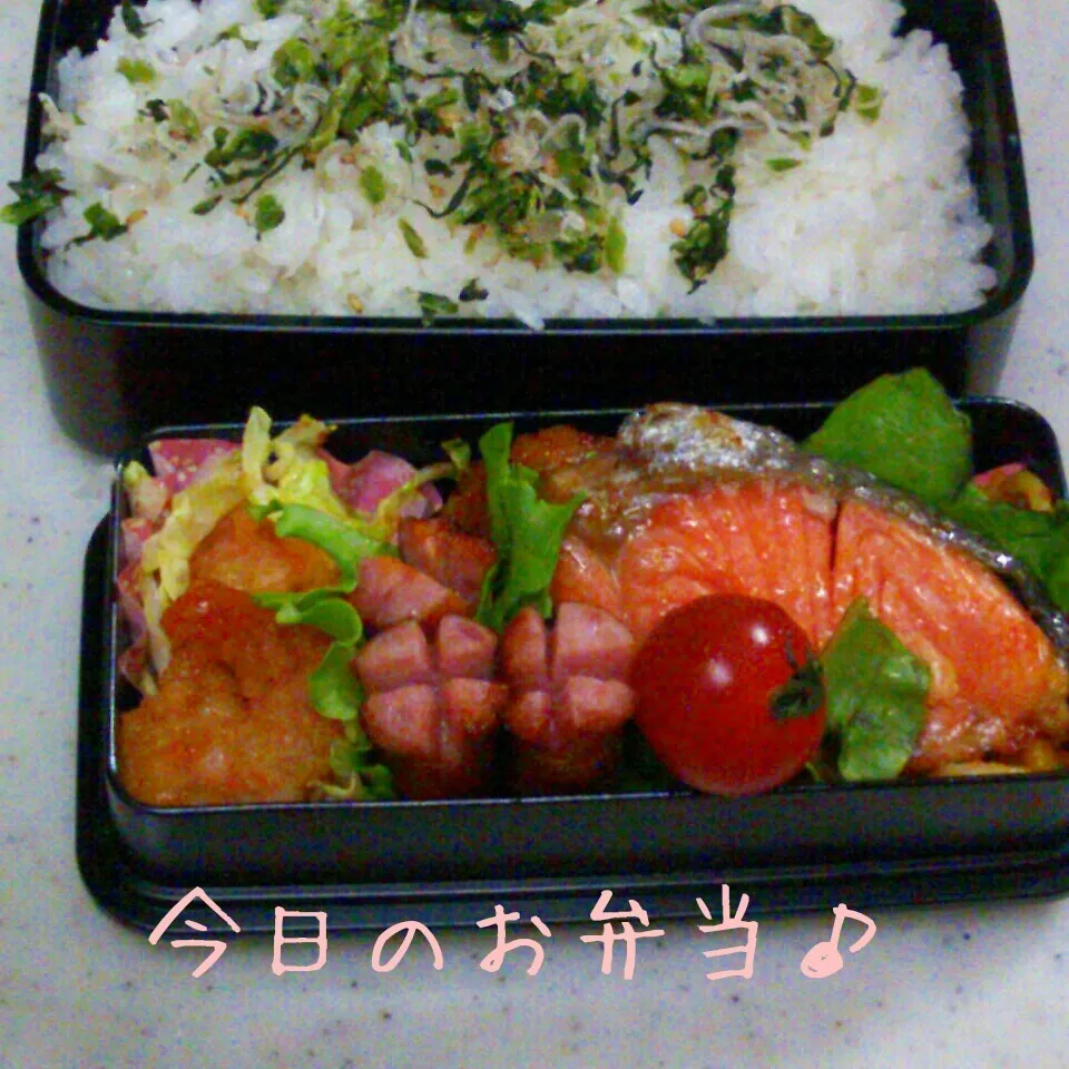 Snapdishの料理写真:鮭弁当♪|ころりんさん