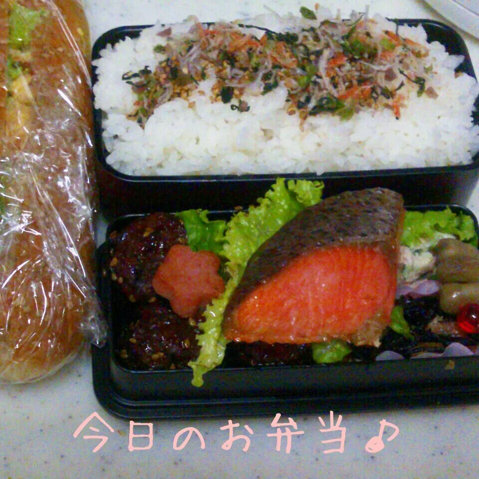 Snapdishの料理写真:鮭弁当+ホットドッグ♪|ころりんさん