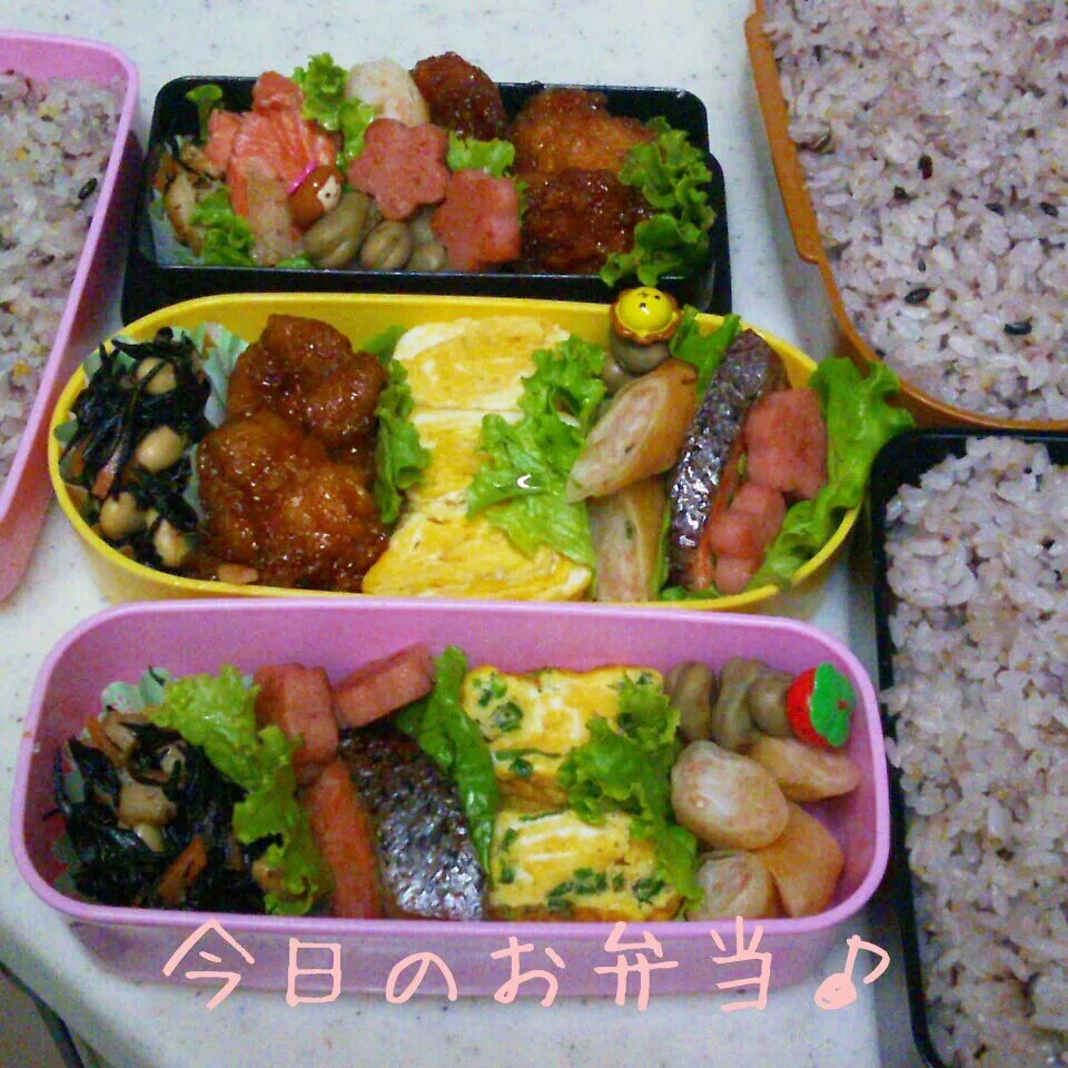 ３人分弁当♪|ころりんさん