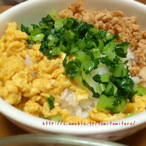 三色丼！|とみとみたろうの男子ごはん♪さん