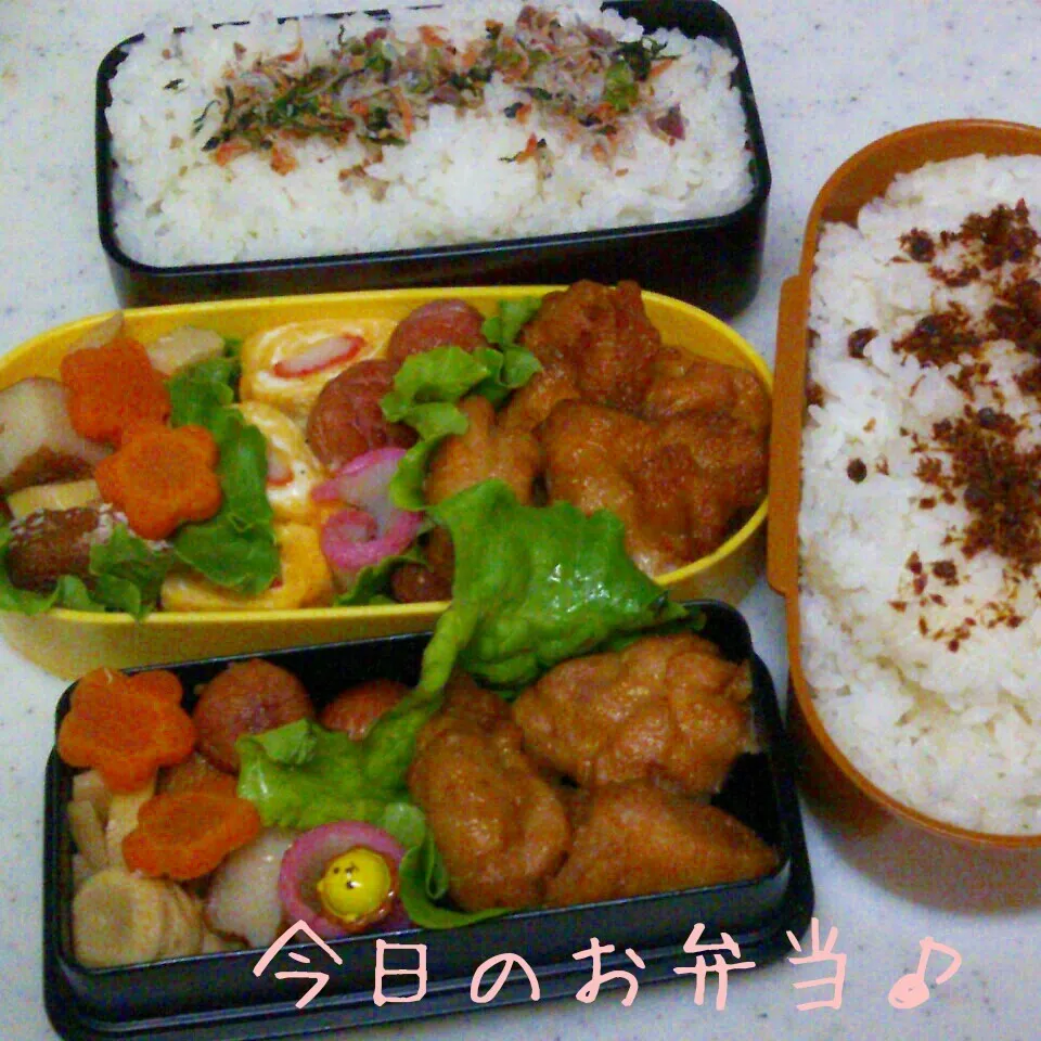 Snapdishの料理写真:からあげ弁当♪|ころりんさん