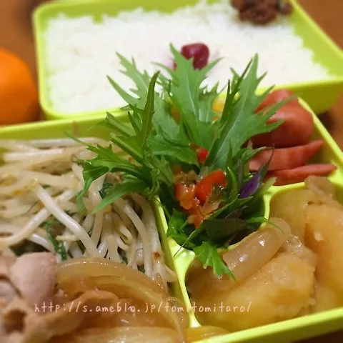 Snapdishの料理写真:水菜サラダ弁当！！|とみとみたろうの男子ごはん♪さん