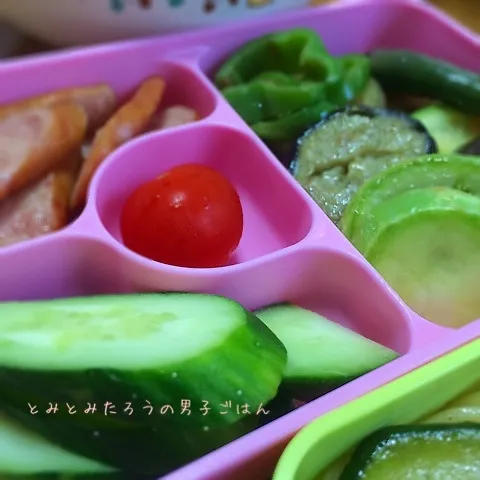 夏野菜弁当〜！|とみとみたろうの男子ごはん♪さん
