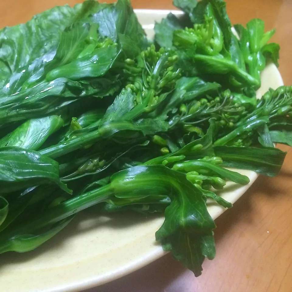 キャベツの菜の花お浸し〜♪|とみとみたろうの男子ごはん♪さん