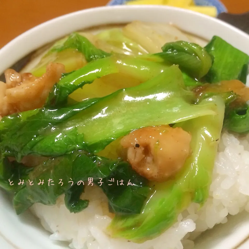 子宝菜と白菜の中華丼〜！！|とみとみたろうの男子ごはん♪さん