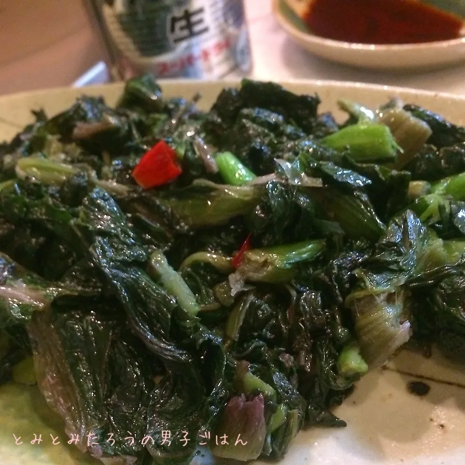 自家製赤高菜漬物のごま油炒め〜！！|とみとみたろうの男子ごはん♪さん