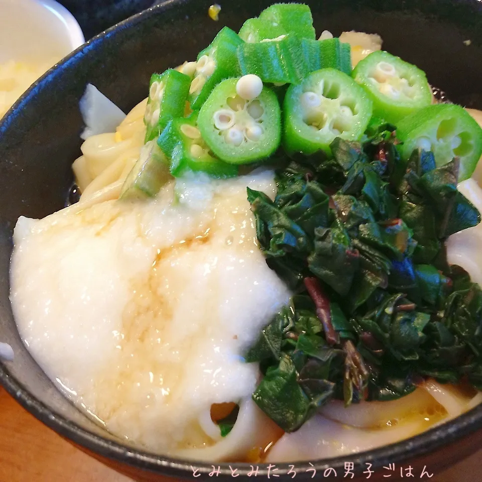 ツルムラサキとオクラと長芋のネバネバきしめん〜！|とみとみたろうの男子ごはん♪さん