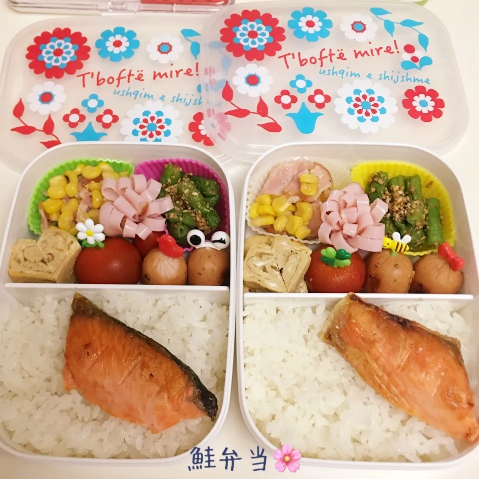 娘弁当🌸 鮭|ち〜さん