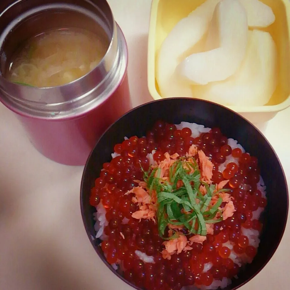 娘弁当★ 兄特製イクラ漬けで親子丼|ち〜さん