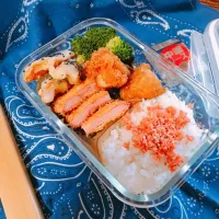 Snapdishの料理写真:息子弁当🍱|きょうこさんさん