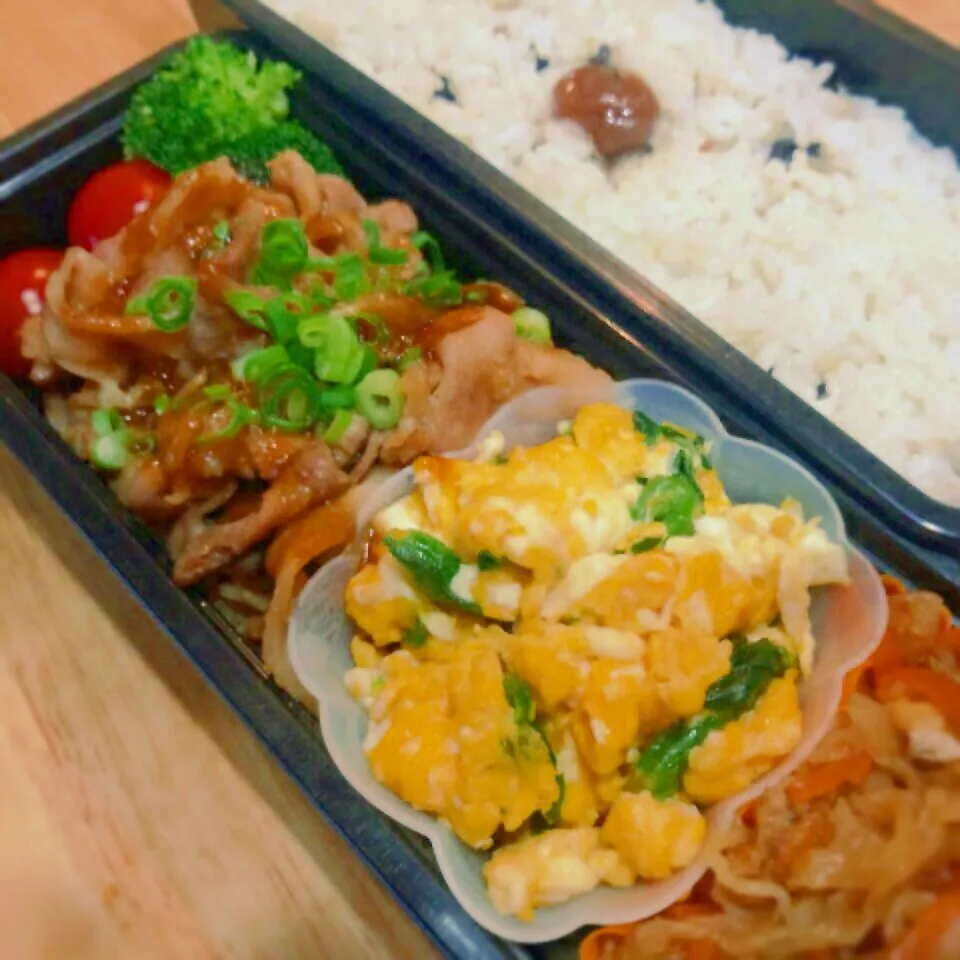 Snapdishの料理写真:主人のお弁当|mogmoさん