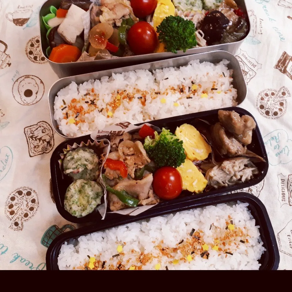 Snapdishの料理写真:高1&中2 男子弁当|みなみなさん