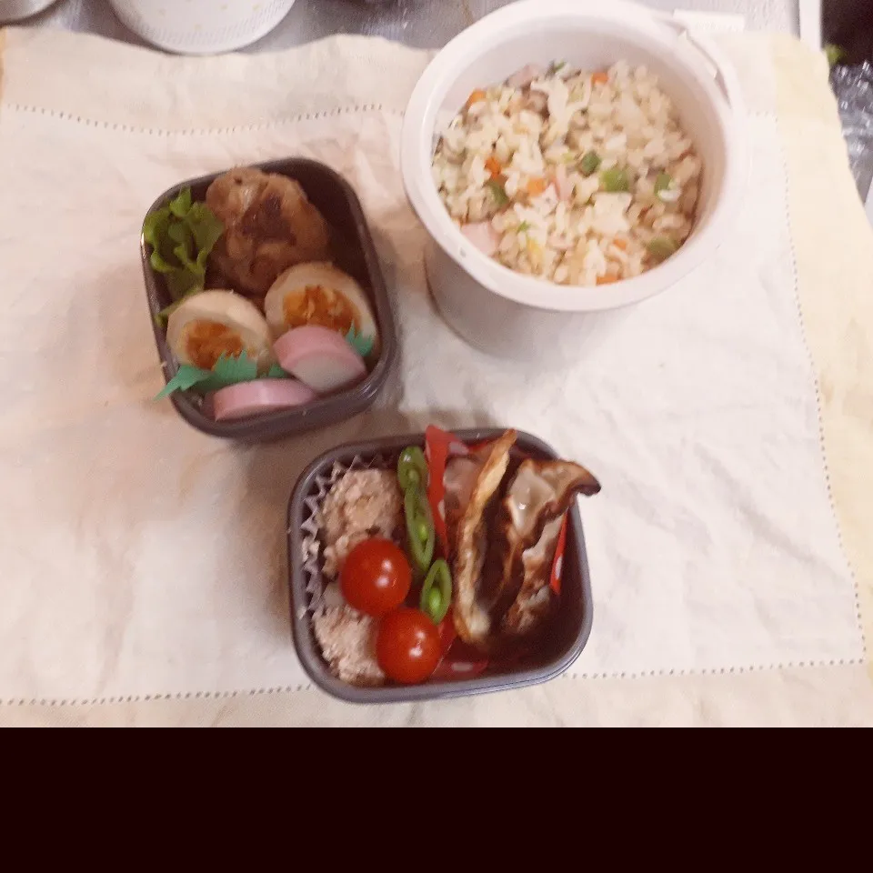 Snapdishの料理写真:中3男子弁当 348|みなみなさん