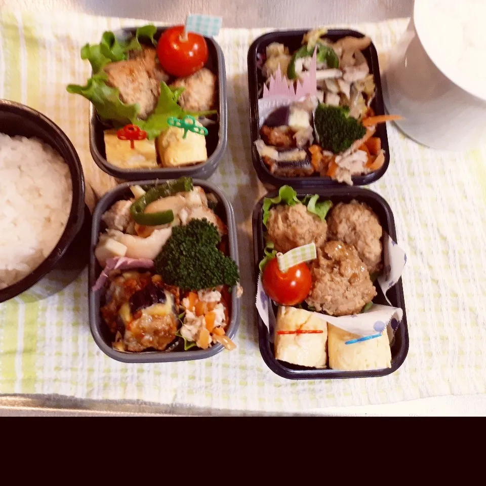 Snapdishの料理写真:中3&中1男子弁当 345|みなみなさん