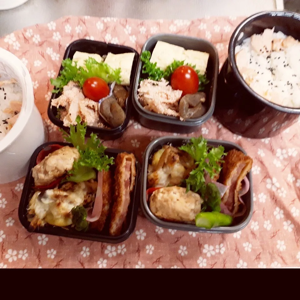 Snapdishの料理写真:中3&中1男子弁当 329|みなみなさん