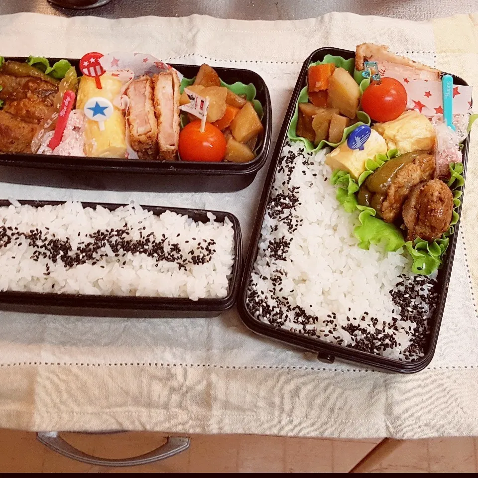 Snapdishの料理写真:中3&中1男子弁当 301|みなみなさん