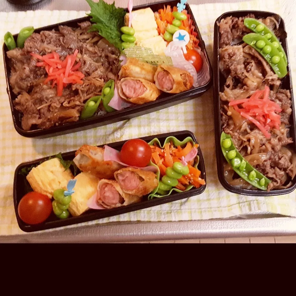 Snapdishの料理写真:中3&中1男子弁当 299|みなみなさん