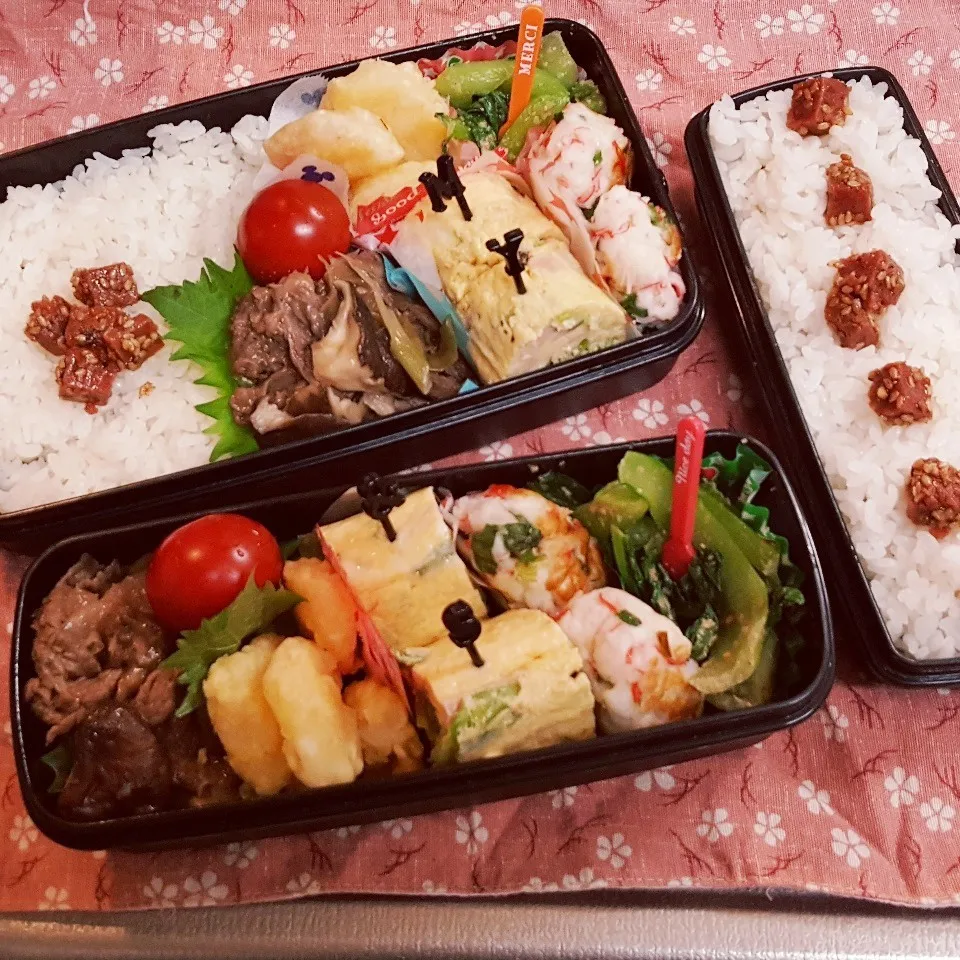 Snapdishの料理写真:中3&中1男子弁当 297|みなみなさん