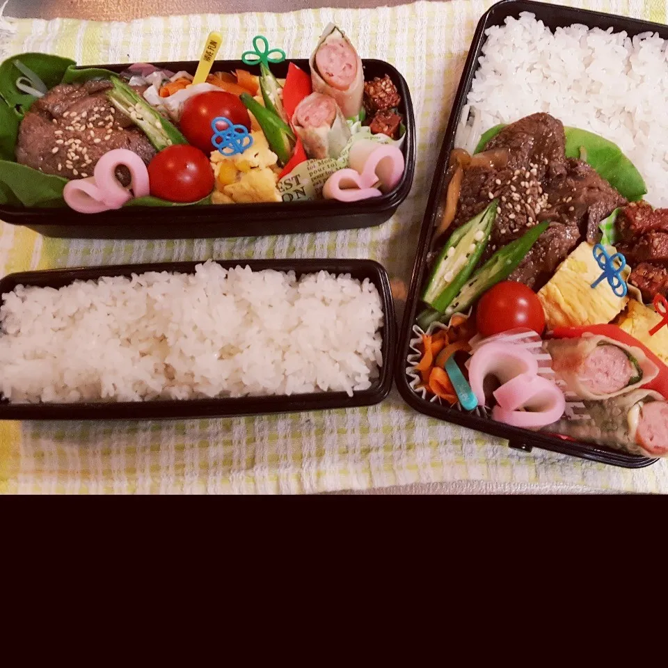 Snapdishの料理写真:中3&中1男子弁当 291|みなみなさん