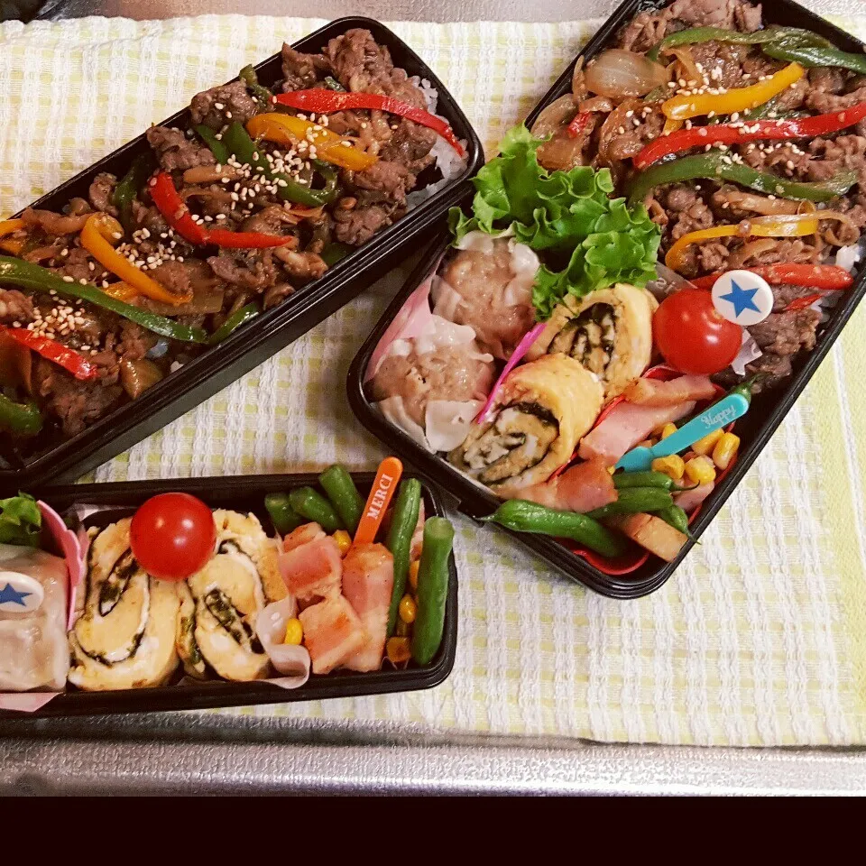 Snapdishの料理写真:中3&中1男子弁当 272|みなみなさん