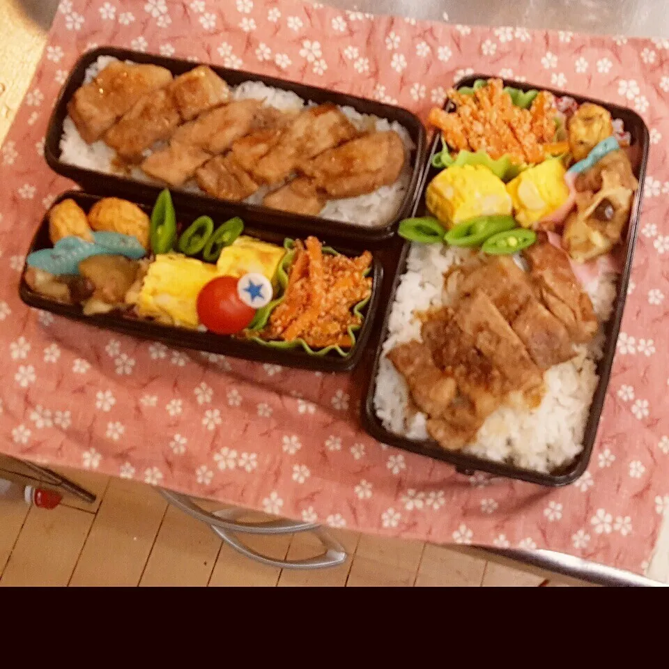 Snapdishの料理写真:中3&中1男子弁当 255|みなみなさん