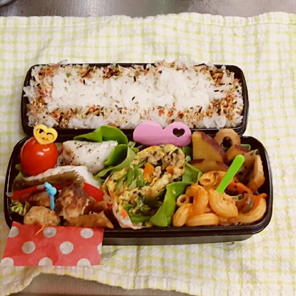 Snapdishの料理写真:中2男子弁当 201|みなみなさん