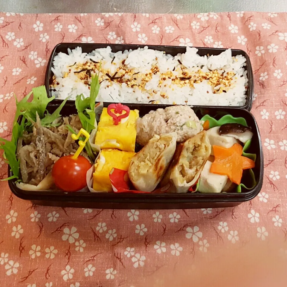 Snapdishの料理写真:中2男子弁当 163|みなみなさん