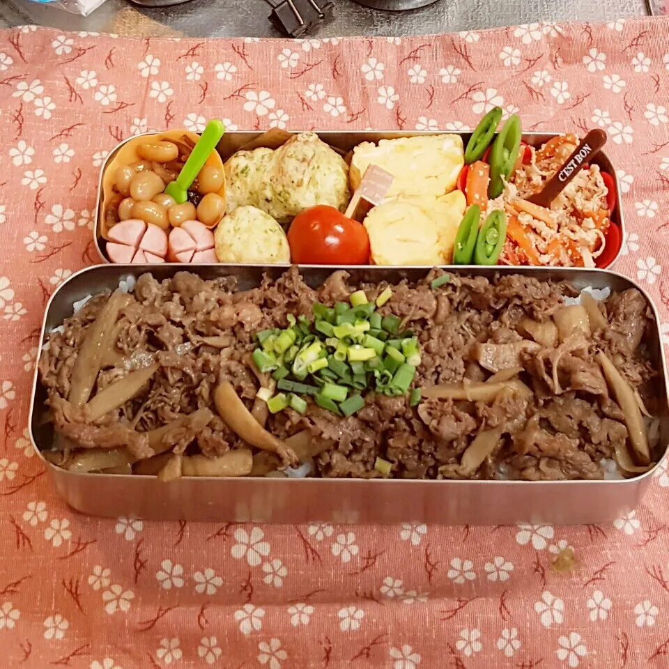 Snapdishの料理写真:中2男子弁当 141|みなみなさん